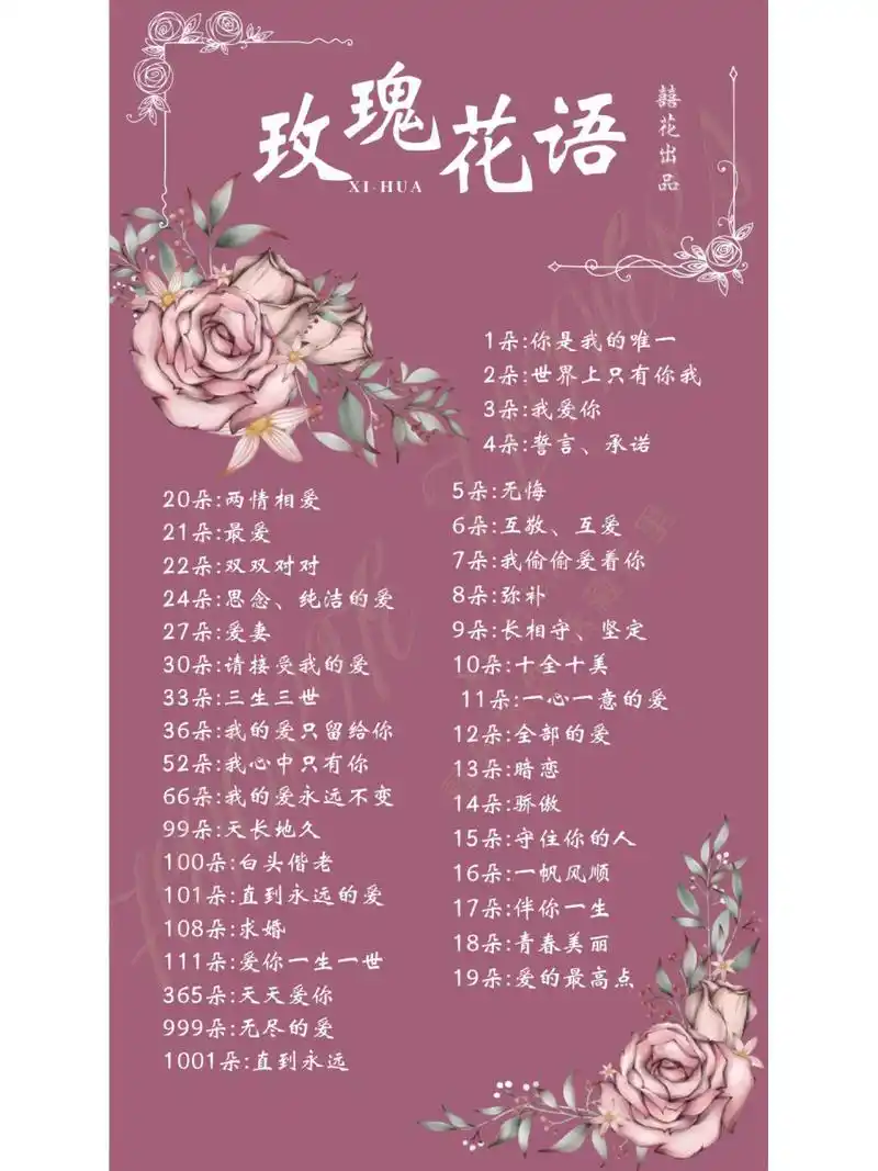 每一个数字都是爱的标识符7815 最全花语 囍花告诉你95 	 1朵