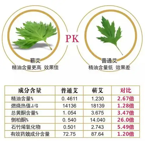 蕲艾何以是艾中之王