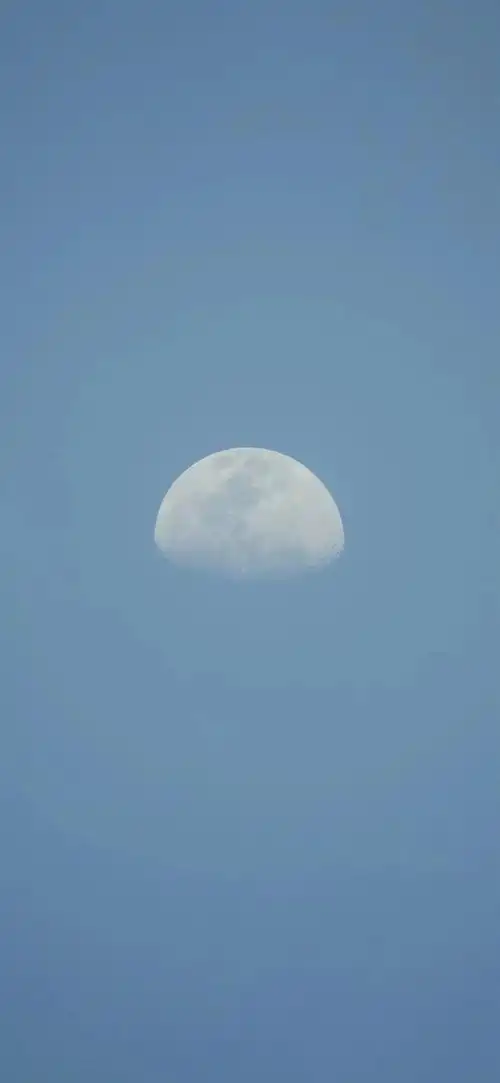 壁纸|微信高级聊天背景图