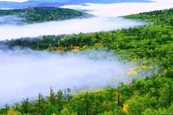 大兴安岭之旅:探索自然之美