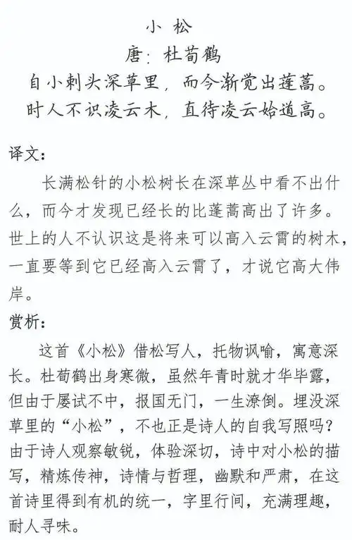 每日读诗小松杜荀鹤1041