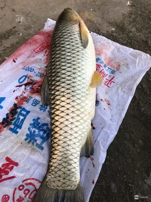 b简单点的个人主页_108社区_108sq.cn