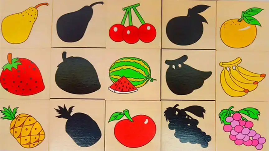 影子认知,各种水果,服装鞋帽等