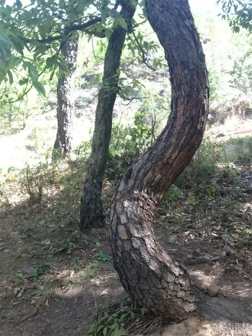 吃货的幸福时光