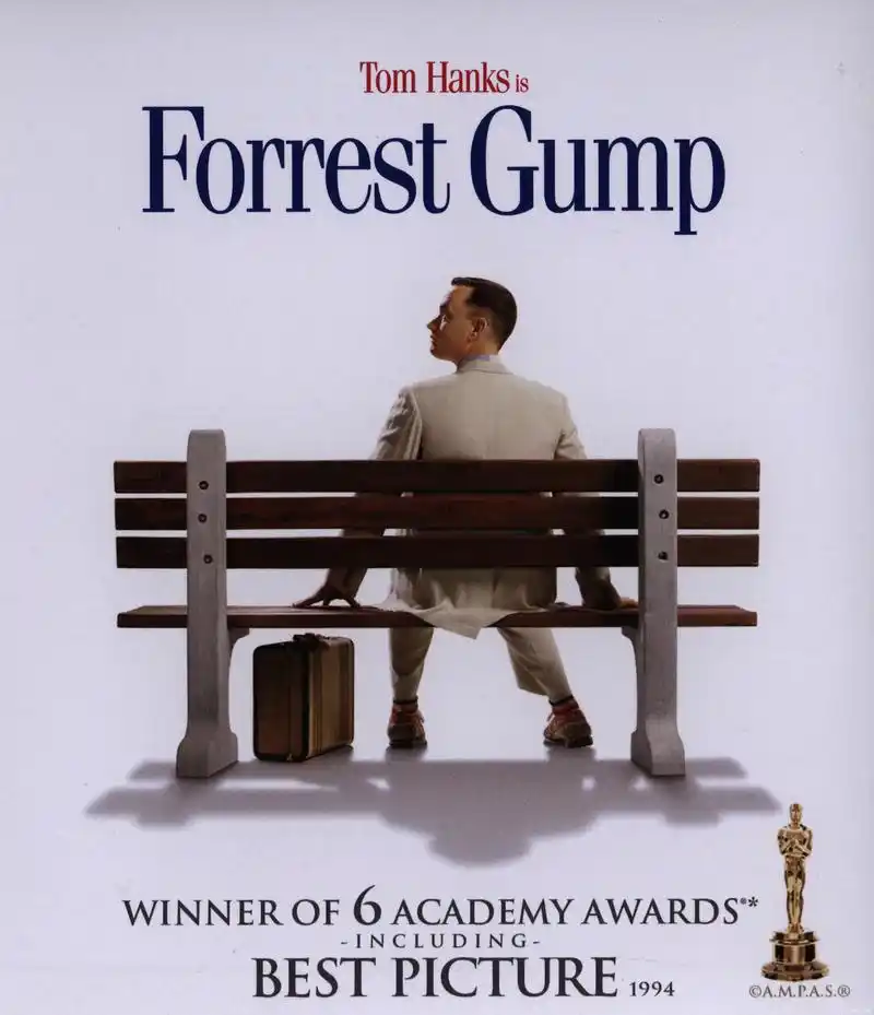 看完《阿甘正传》后,我一口气写了6篇观后感