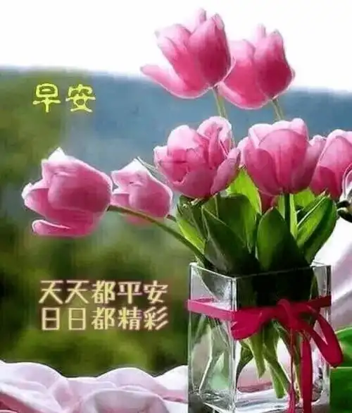 新版微信群发早上好问候表情图片带字漂亮的早上好祝福暖心语句大全