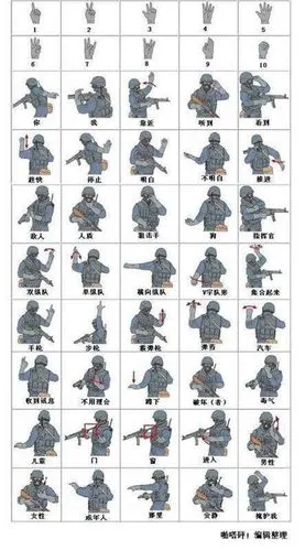 2019夏令营m少年将军上海军事营地721天青少年终极军事训练营早报优惠