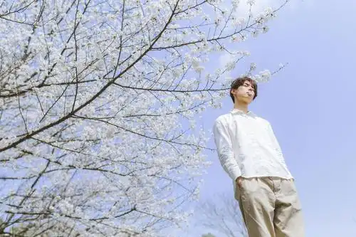 盐系少年与春日