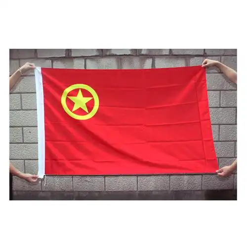 中国共青团团旗