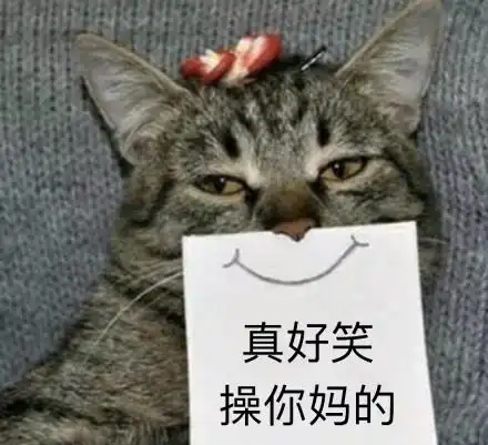 真好 真好啊 操你妈的表情包 - 真好 真好啊 操你妈的微信表情包