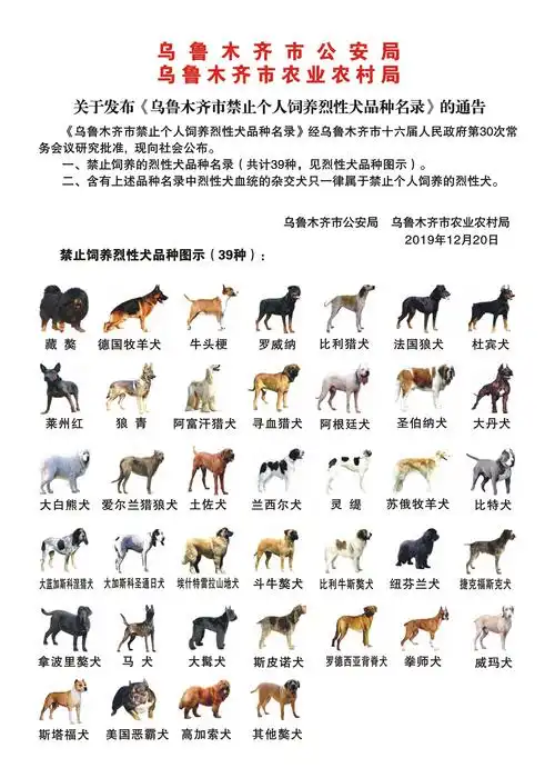关于发布乌鲁木齐市禁止个人饲养烈性犬品种名录的通告
