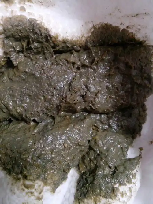 五个月的小孩,有时候大便是这种色的,现在