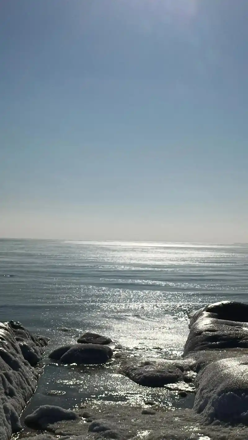 每一张照片都是满满的回忆和足迹  - 抖音