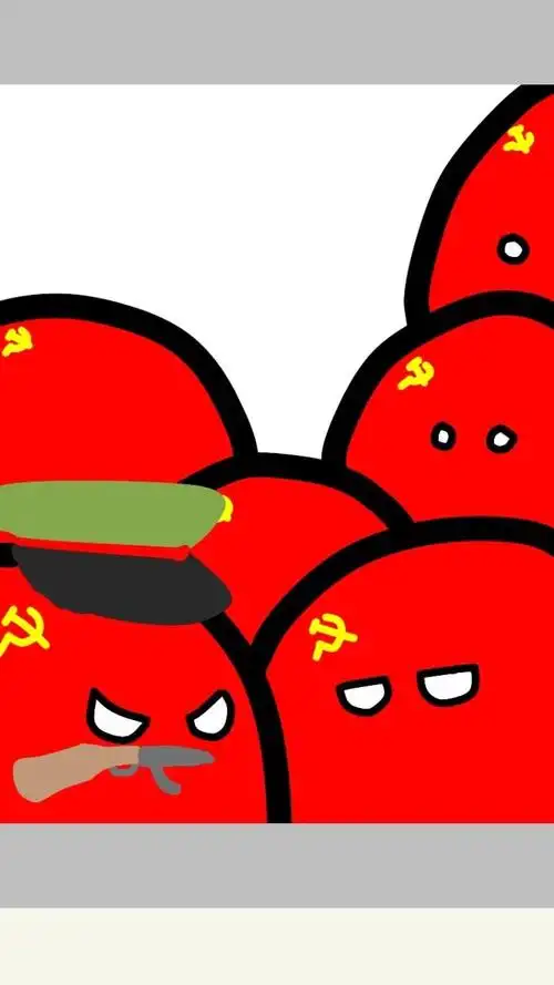 波兰球苏联球们