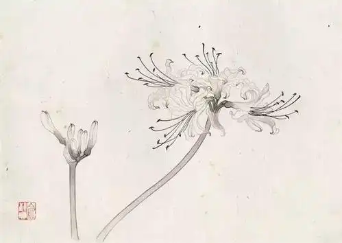 俞致贞工笔百花图谱