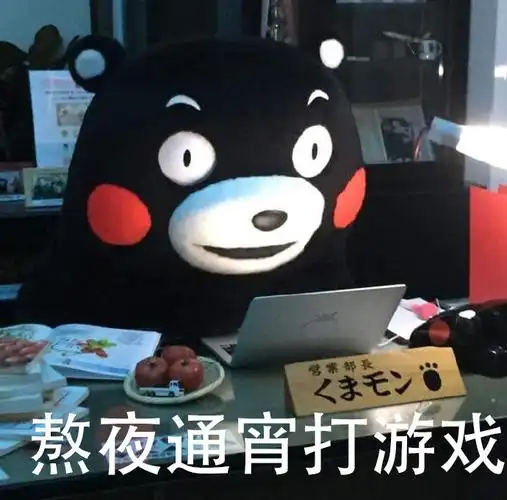 熬夜通宵打游戏 - 你的2018由什么组成的? _熊本熊表情