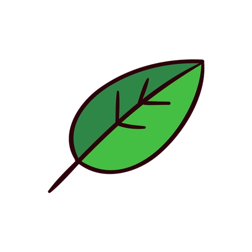 一片叶子卡通图片