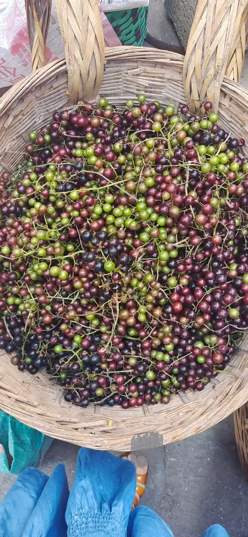 酸酸甜甜的野葡萄,小时候直接当饭吃 #原图记录生活# 野葡萄,那种自然