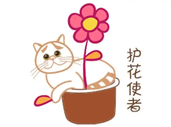 春暖花开护花使者