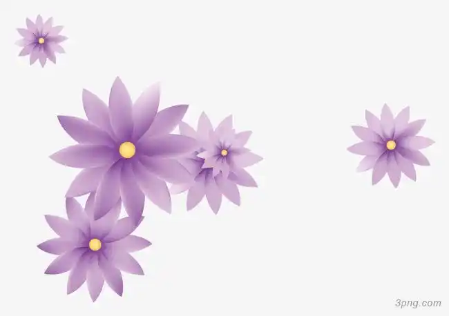 装饰花纹png素材透明免抠图片装饰效果