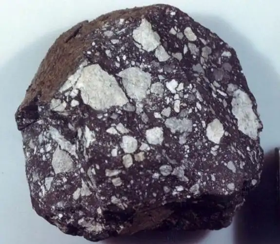 陨石明星,它是第一块被确认的月球陨石_网易订阅