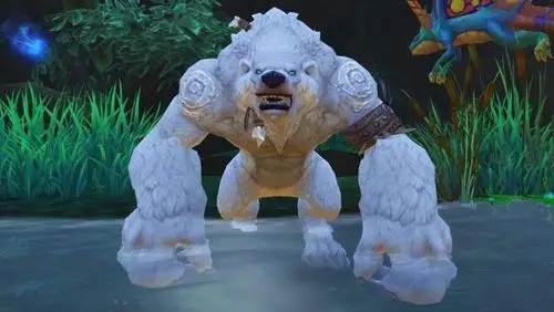 小德外观这种熊是什么形态?