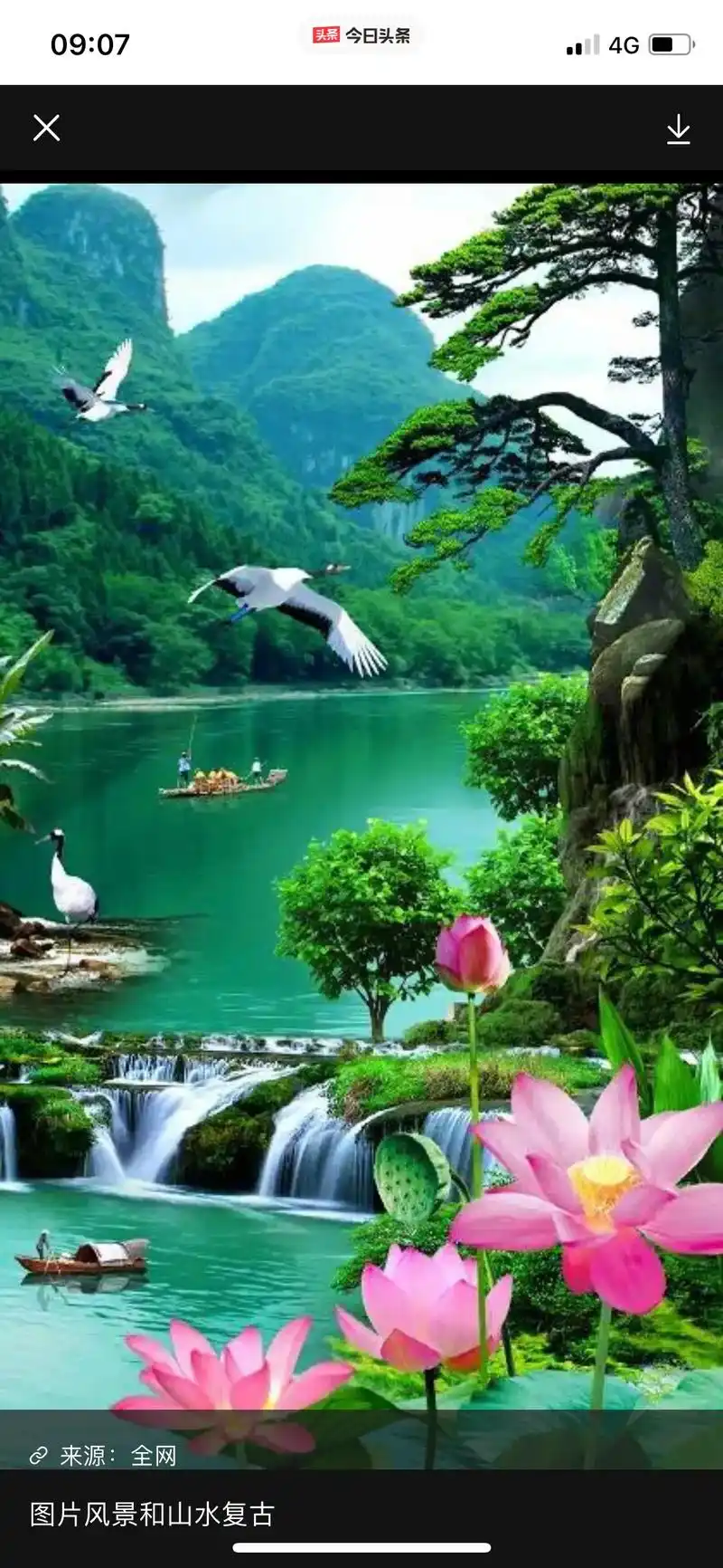 顶级超美的风景图片欣赏 花海风景彩色植物紫色黄色摄影 09: - 抖音