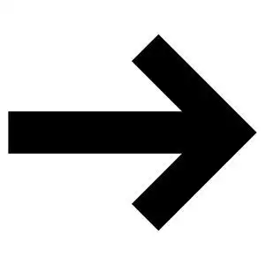 右箭头图标平图片