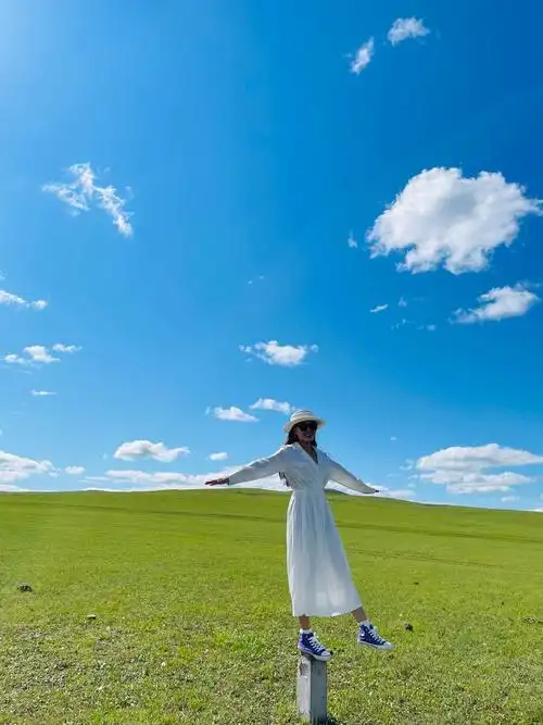 呼伦贝尔大草原超美78手机摄影