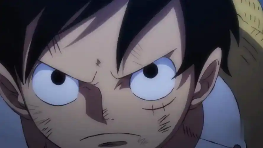 金色的雨,路飞任性切炸裂的霸王色!