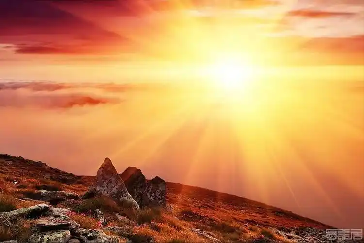 谈谈金色的高级应用,谁说它一定艳俗!