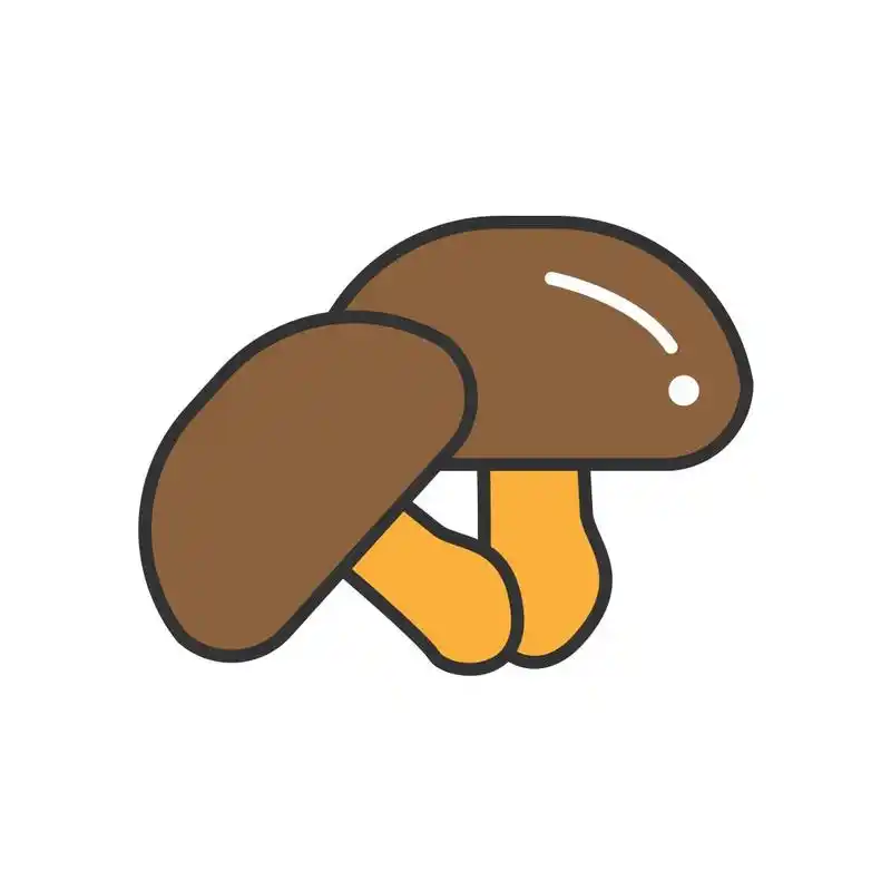 聚焦乡村振兴湖北山娃子食品有限公司成立助力远安香菇华丽变身