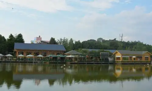 成都青白江福洪镇:从散居院落到美丽新村 美了"面子"富了"里子"