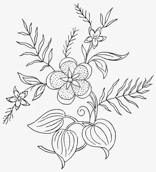 关键词 : 手绘,手绘画,植物,叶子