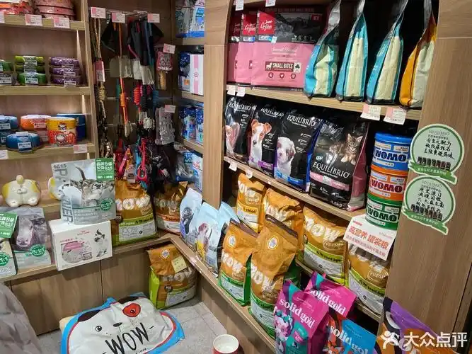 酷迪宠物富力广场店