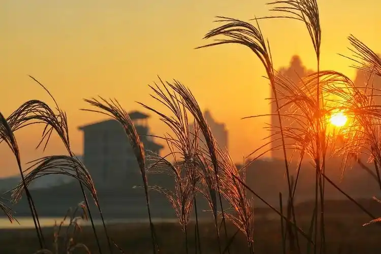 【清晨摄影图片】风光摄影_太平洋电脑网摄影部落