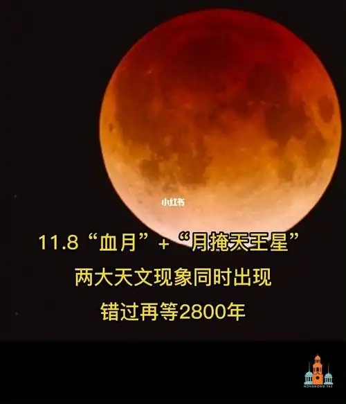 千载难逢错过再等2800年