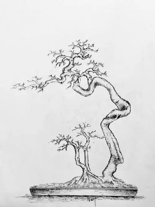 手绘盆景设计图