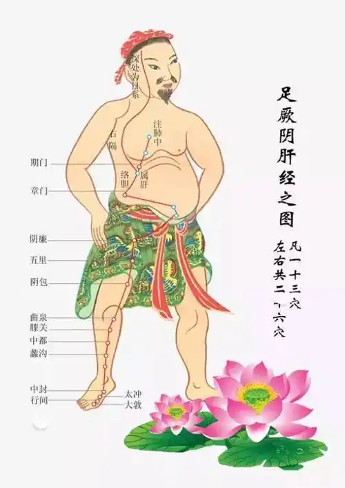 疏通肝胆经,对于女性来说尤其重要.