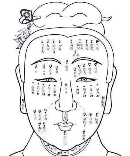 男人男士眉毛的运势风水图眉相图解大全眉毛风水男人眉毛风水图解大全