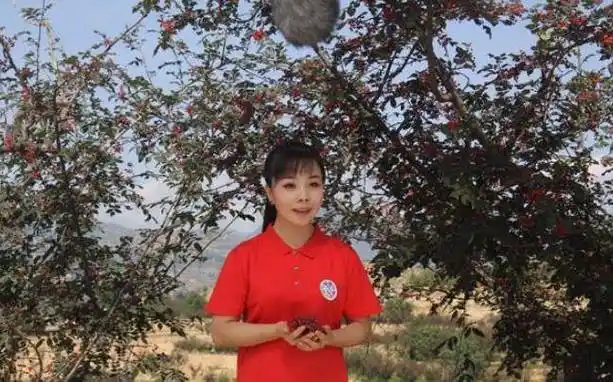 因买不起房,放弃名利回农村,放牛种田成日常_王二妮_生活_星光大道