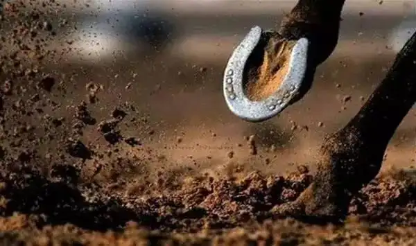 古代为什么要给马钉上马蹄铁马不会疼吗