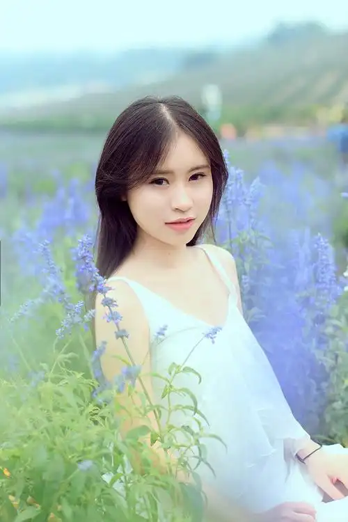 纯白纱裙包子脸美女薰衣草田唯美写真