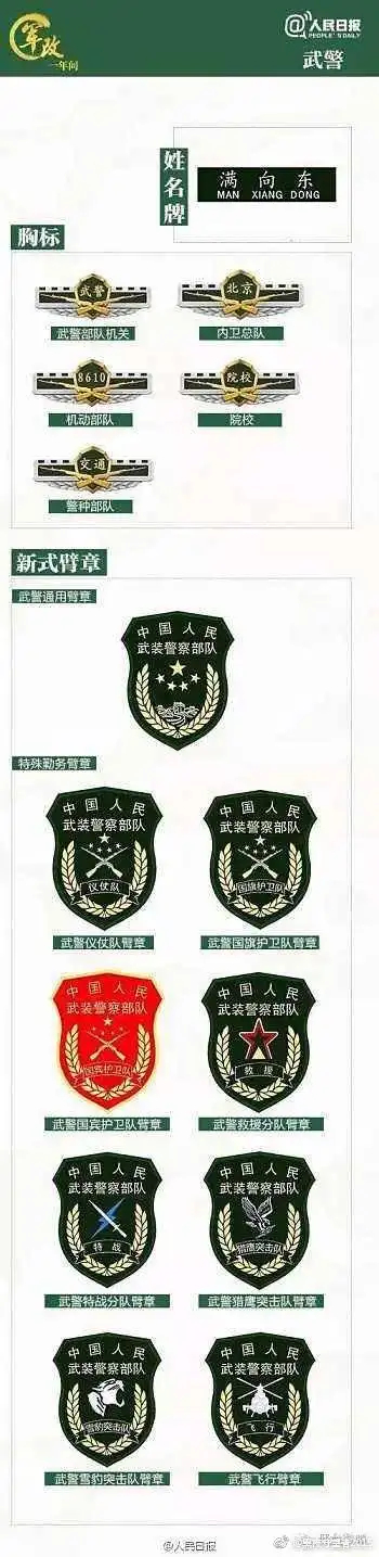 解放军各军种胸标标志图案