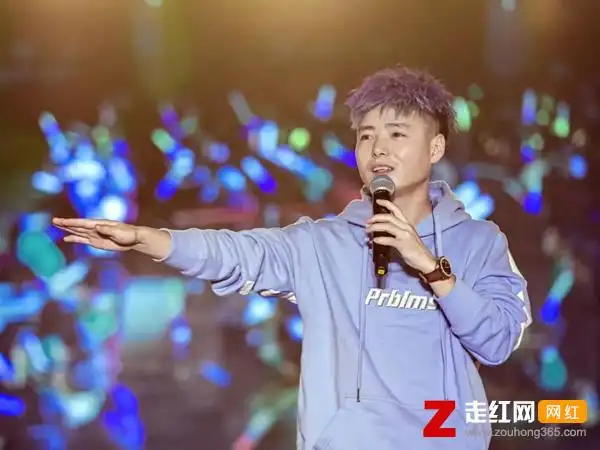 杨小壮凭借一首孤芳自赏走红却被贴上抄袭标签,杨小壮个人资料介绍