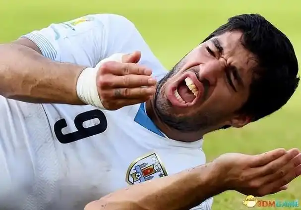 盘点世界足坛十大侮辱性极强的绰号