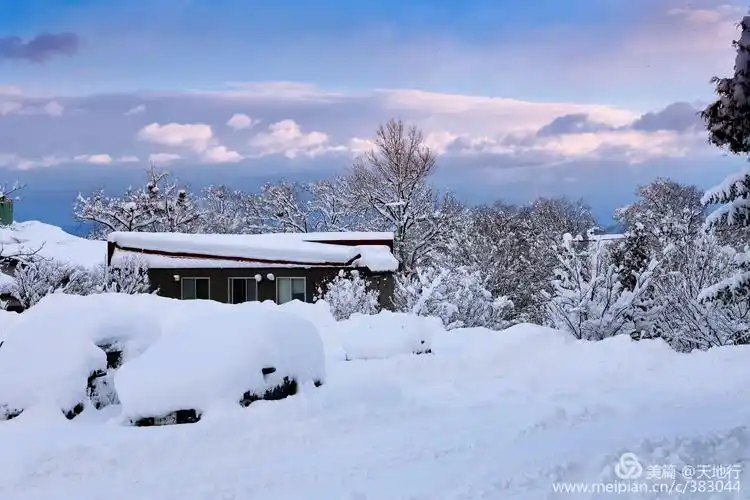其它 北海道之雪日魅影 写美篇奔驰,奔驰,札幌下机一路奔驰向东