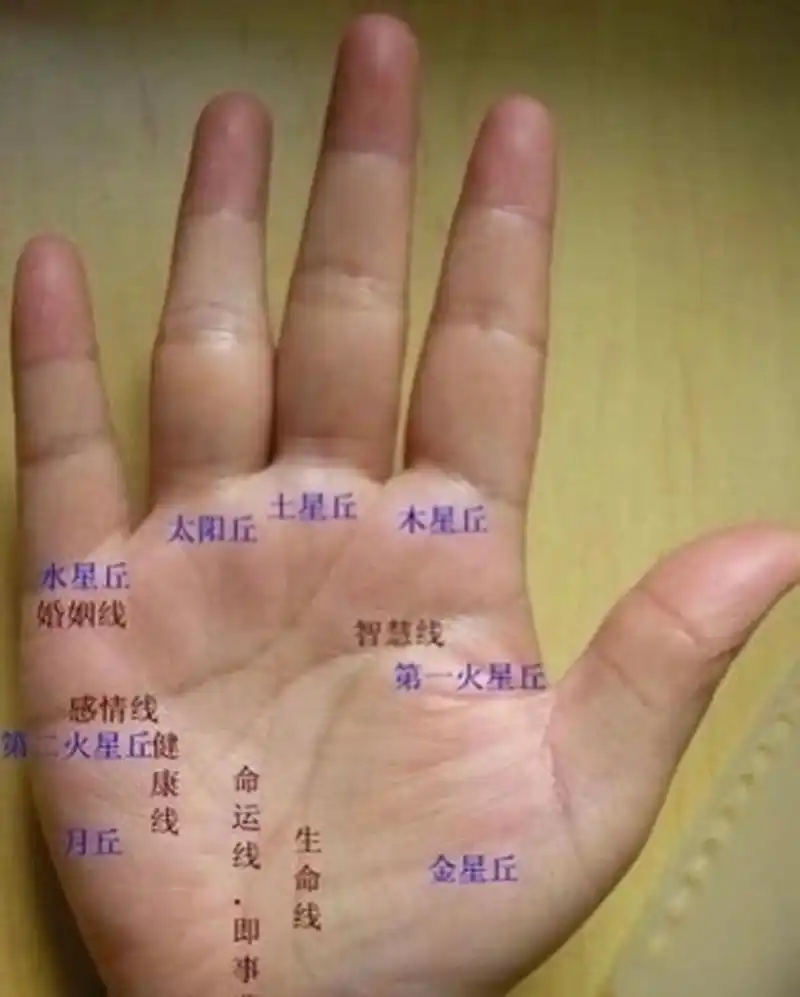 手中掌纹深刻杂乱,加上断掌纹,为人固执要强,不服