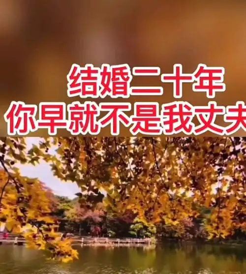 结婚20年,你早已经不是我丈夫