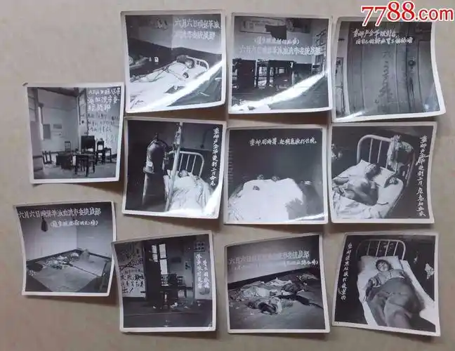 重庆武斗11张等(稀少)